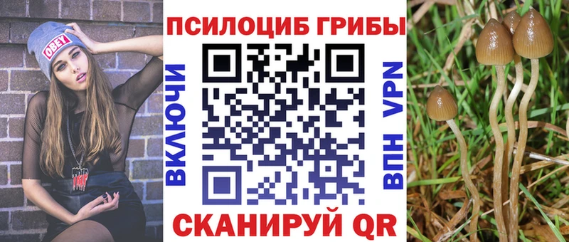 Псилоцибиновые грибы MAGIC MUSHROOMS  даркнет наркотические препараты  Чусовой 